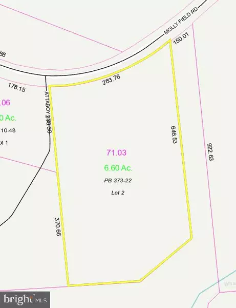 LOT 2 MOLLY FIELD RD, Dagsboro, DE 19939