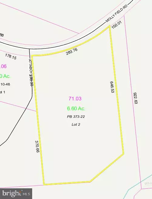 Dagsboro, DE 19939,LOT 2 MOLLY FIELD RD