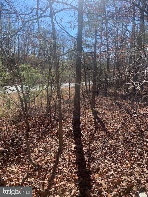 Gordonsville, VA 22942,LOT 206 PINEHURST DR #206