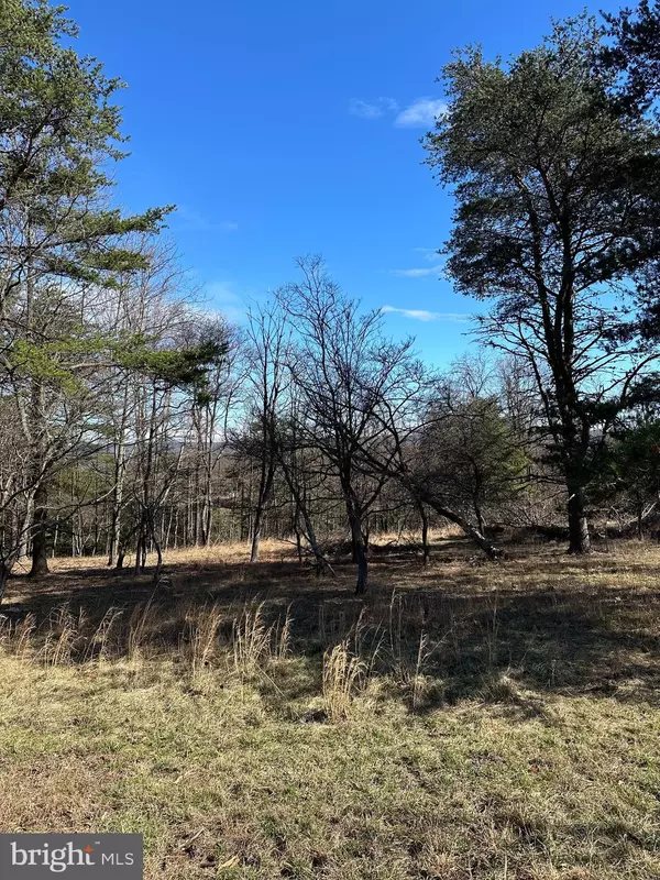 Hedgesville, WV 25427,LOT 30 THE MEADOWS AT SLEEPY CREEK