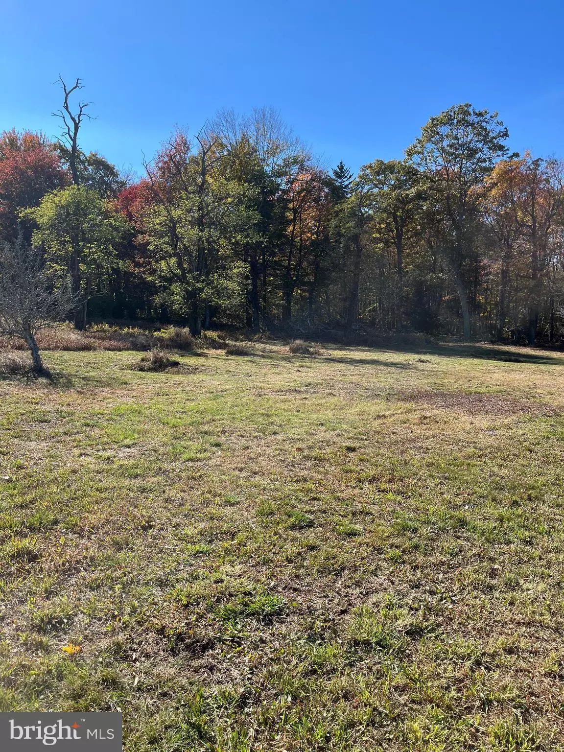 Mount Storm, WV 26739,MOUNTAIN LAKE ESTATES - LOT 3