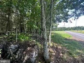 Mount Storm, WV 26739,MOUNTAIN LAKE ESTATES - LOT 4