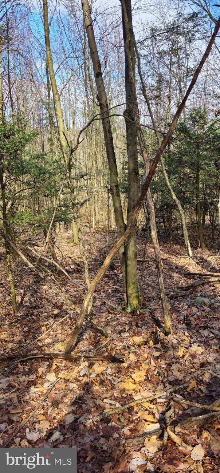 New Bloomfield, PA 17068,00 SOULE RD LOT #2