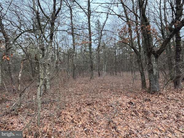 LOT 343 WILD CREEK DR, Jim Thorpe, PA 18229