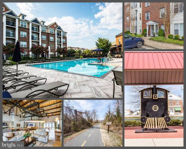 701 COBBLESTONE BLVD #106, Fredericksburg, VA 22401