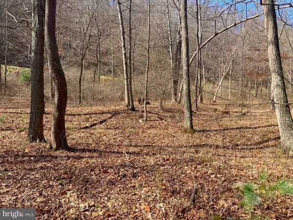 Moorefield, WV 26836,LOT 59 RUCKMAN RD