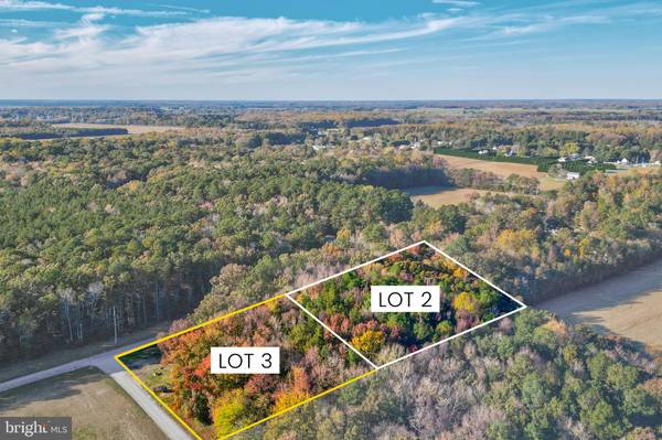 LOT 3 DIAMOND FARM RD, Milton, DE 19968