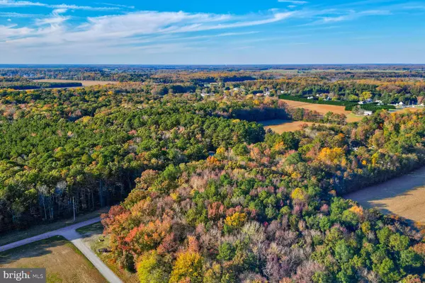 Milton, DE 19968,LOT 4 DIAMOND FARM