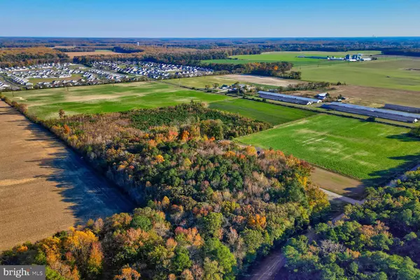 Milton, DE 19968,LOT 4 DIAMOND FARM