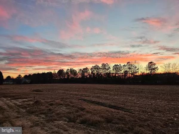 Delmar, MD 21875,LOT 9 SONG SPARROW CIR