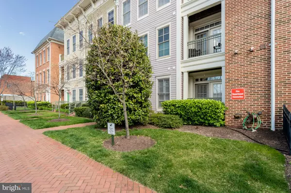 Alexandria, VA 22314,1115 CAMERON ST #113