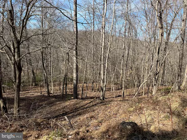 Goodview, VA 24095,0 BARRY DR