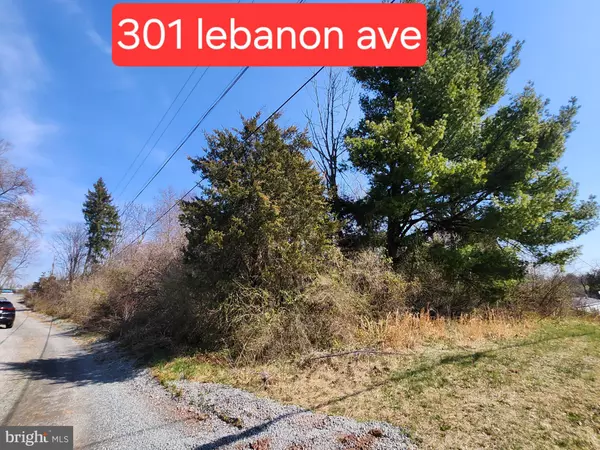 Birdsboro, PA 19508,301 LEBANON AVE