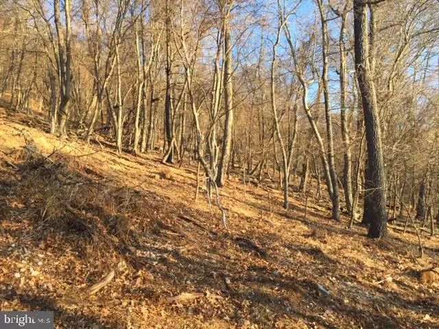 RT 5/10 (BUFFALO HILLS ROAD), Franklin, WV 26807