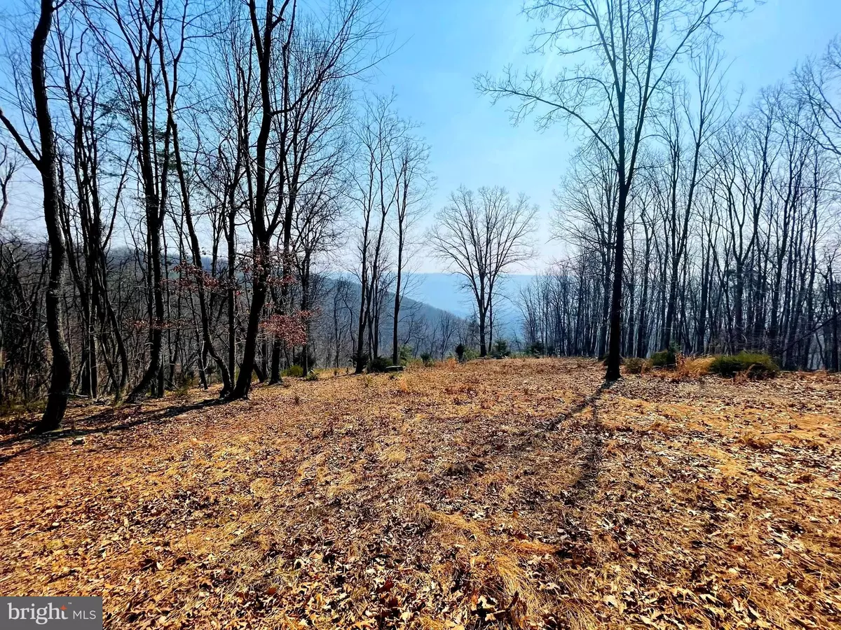 Romney, WV 26757,LOT 232 BLUFFS ON THE POTOMAC