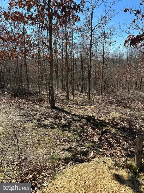 Augusta, WV 26704,LOT 51 EMILY CT