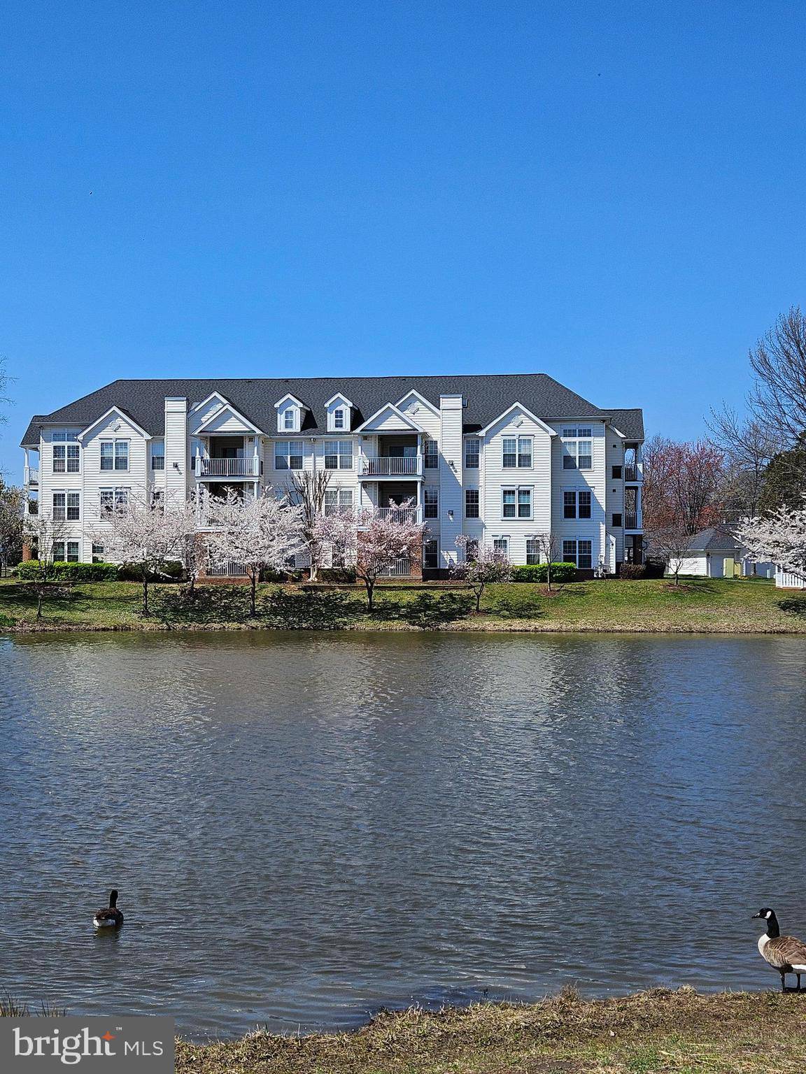 Chantilly, VA 20152,25260 LAKE SHORE SQ #101