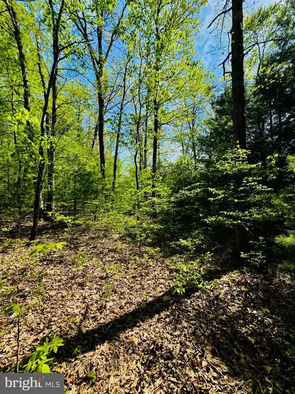 James Creek, PA 16657,LOT: 11 PARADISE POINT