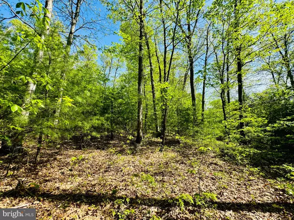 James Creek, PA 16657,LOT: 11 PARADISE POINT