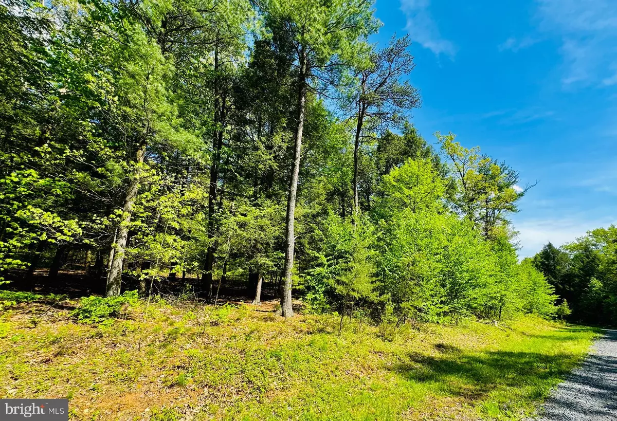 James Creek, PA 16657,LOT: 11 PARADISE POINT