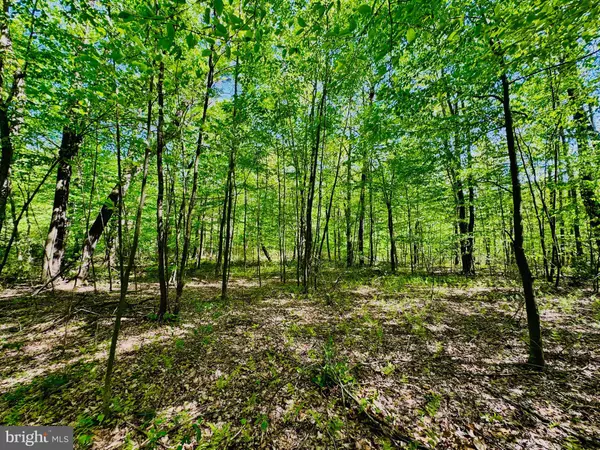 James Creek, PA 16657,LOT: 15 PARADISE POINT