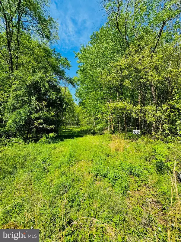 James Creek, PA 16657,LOT: 35 PARADISE POINT