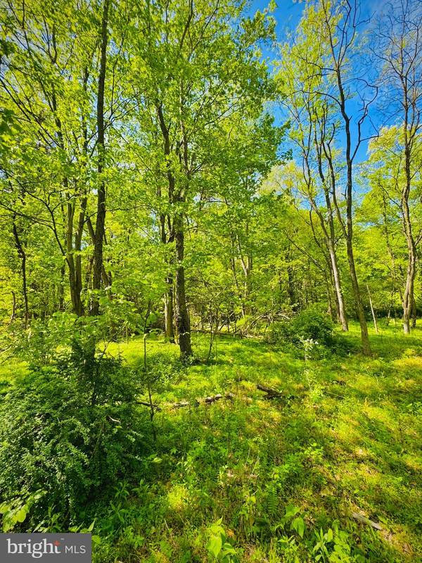 James Creek, PA 16657,LOT: 35 PARADISE POINT