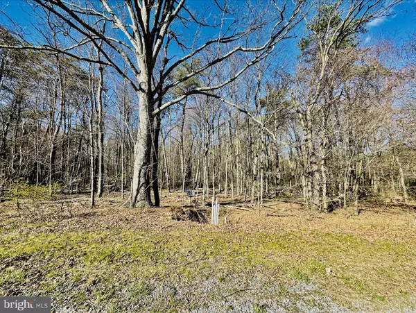 James Creek, PA 16657,LOT: 37 PARADISE POINT