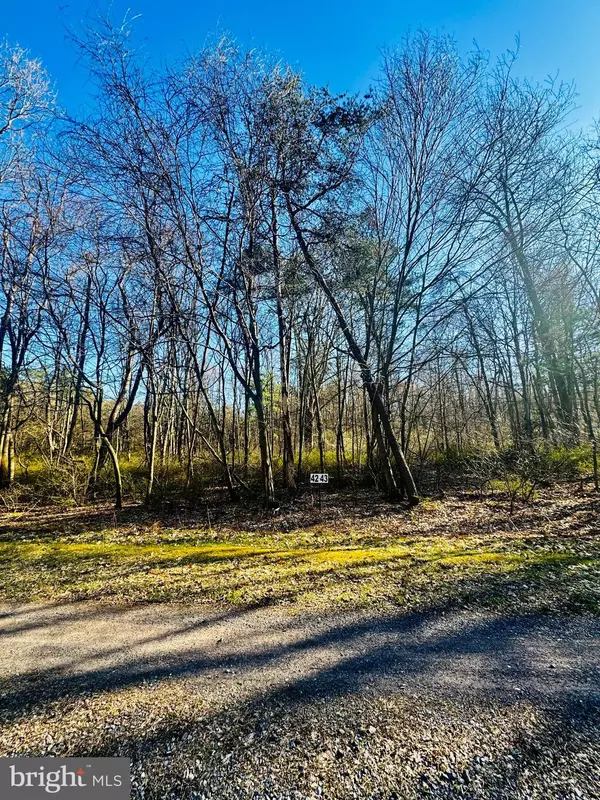 James Creek, PA 16657,LOT: 42 PARADISE POINT