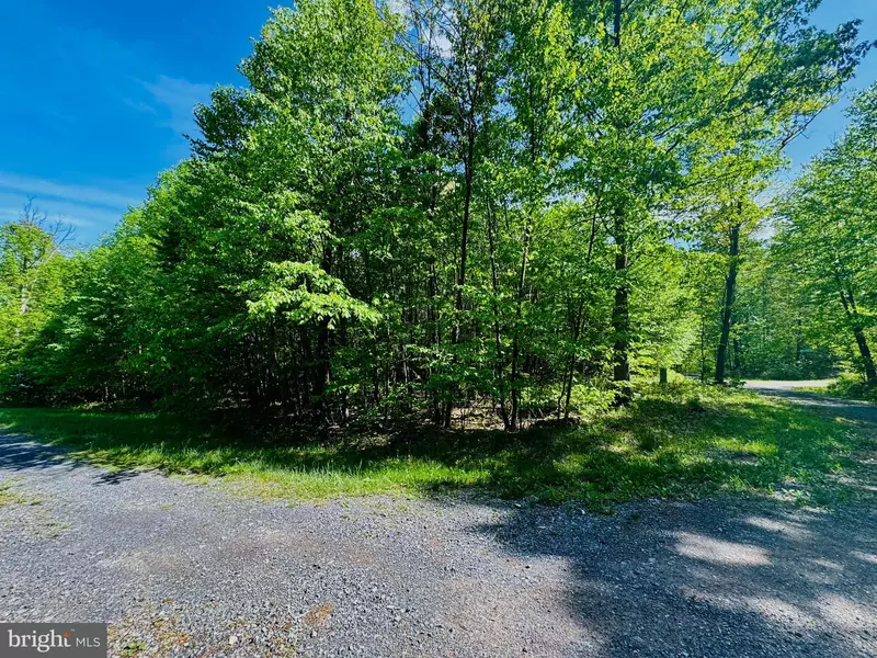 LOT: 46 PARADISE POINT, James Creek, PA 16657