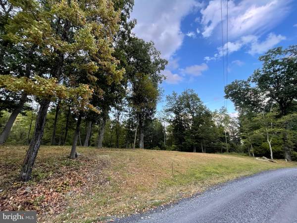 OLD BROWNTOWN LN, Huntly, VA 22640