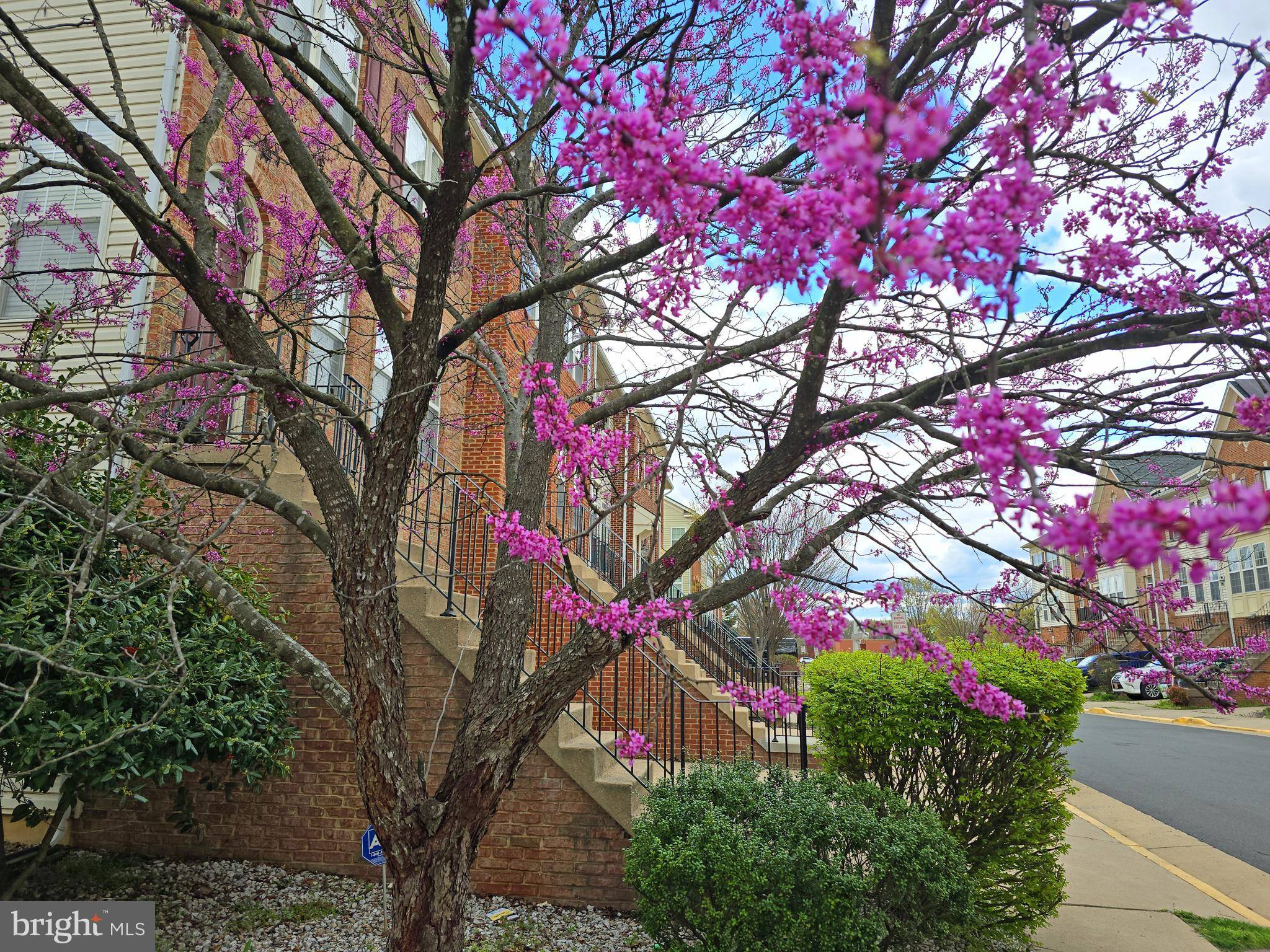 Alexandria, VA 22309,8560 WYNGATE MANOR CT