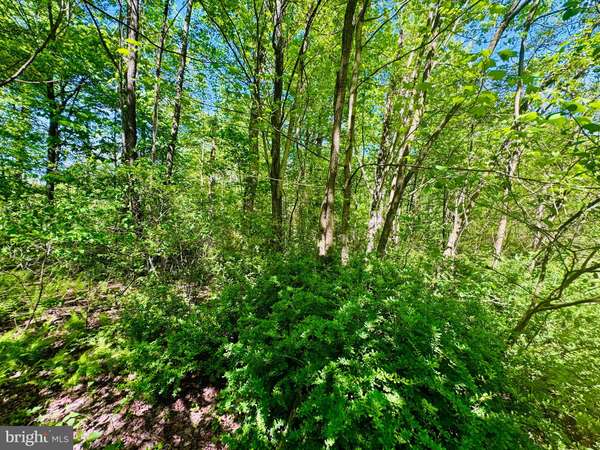 James Creek, PA 16657,LOT: 43 PARADISE POINT