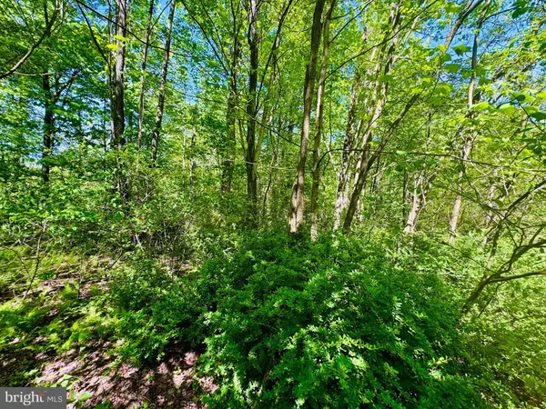 James Creek, PA 16657,LOT: 43 PARADISE POINT