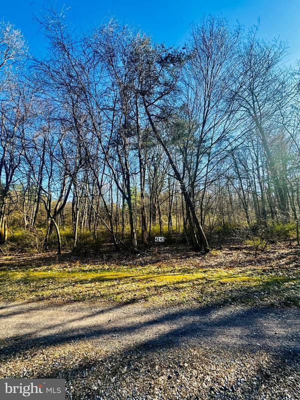 James Creek, PA 16657,LOT: 43 PARADISE POINT