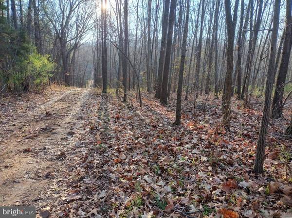 LOT 47A & 48A US HWY 340N, Rileyville, VA 22650