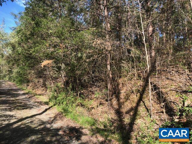 Howardsville, VA 24562,ROCKFISH WOODS CIR #2
