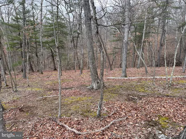 Hedgesville, WV 25427,LOT 30 PERSIMMON TREE LANE