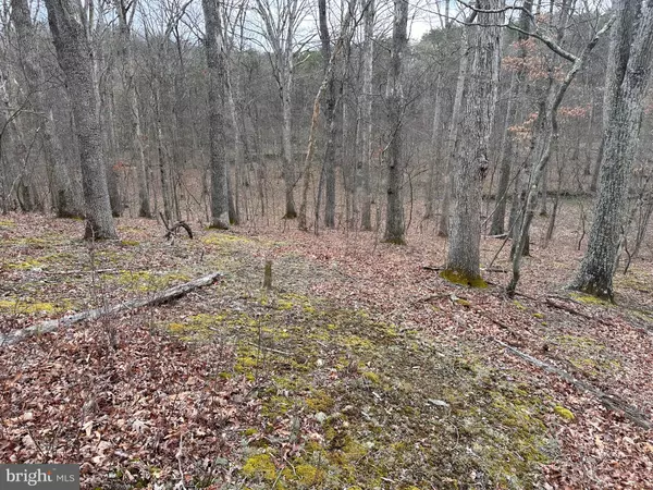 Hedgesville, WV 25427,LOT 30 PERSIMMON TREE LANE