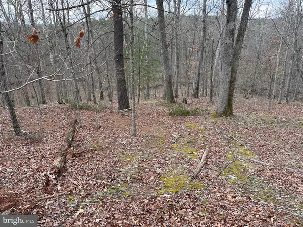 Hedgesville, WV 25427,LOT 30 PERSIMMON TREE LANE