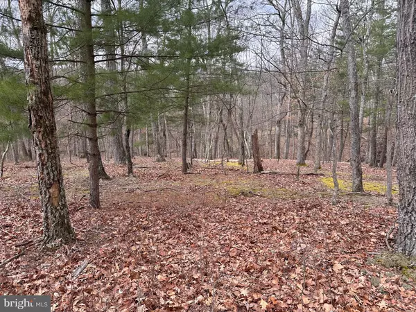 Hedgesville, WV 25427,LOT 30 PERSIMMON TREE LANE