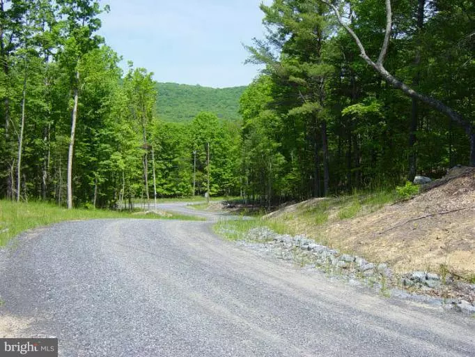 LOT 1 QUAKER WOODS, Capon Bridge, WV 26711