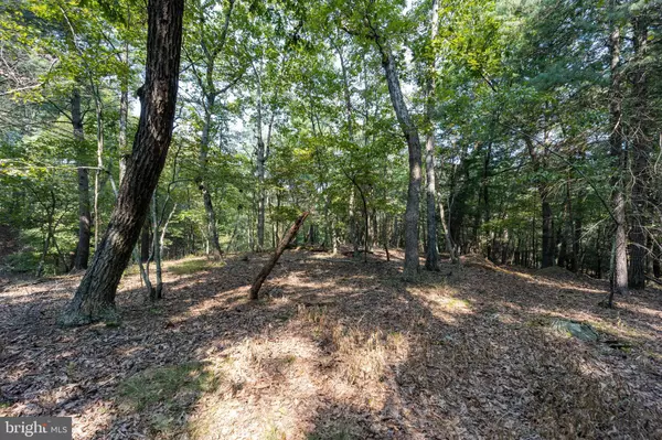 Gerrardstown, WV 25420,LOT 12 BROOMGRASS WAY