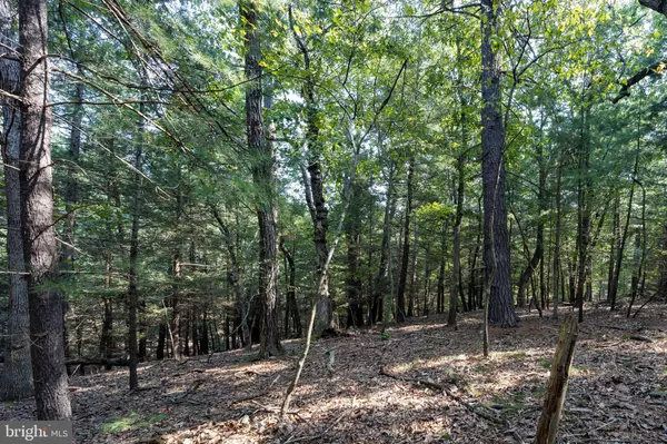 Gerrardstown, WV 25420,LOT 12 BROOMGRASS WAY