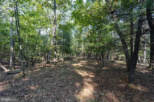 Gerrardstown, WV 25420,LOT 12 BROOMGRASS WAY