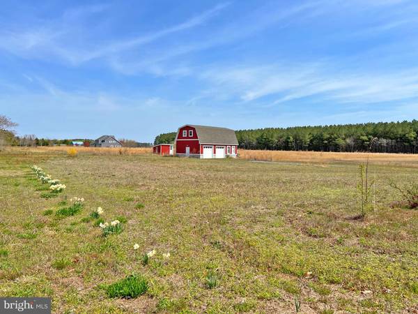 LOT #4 AVALON & LAWSON RD, Georgetown, DE 19947