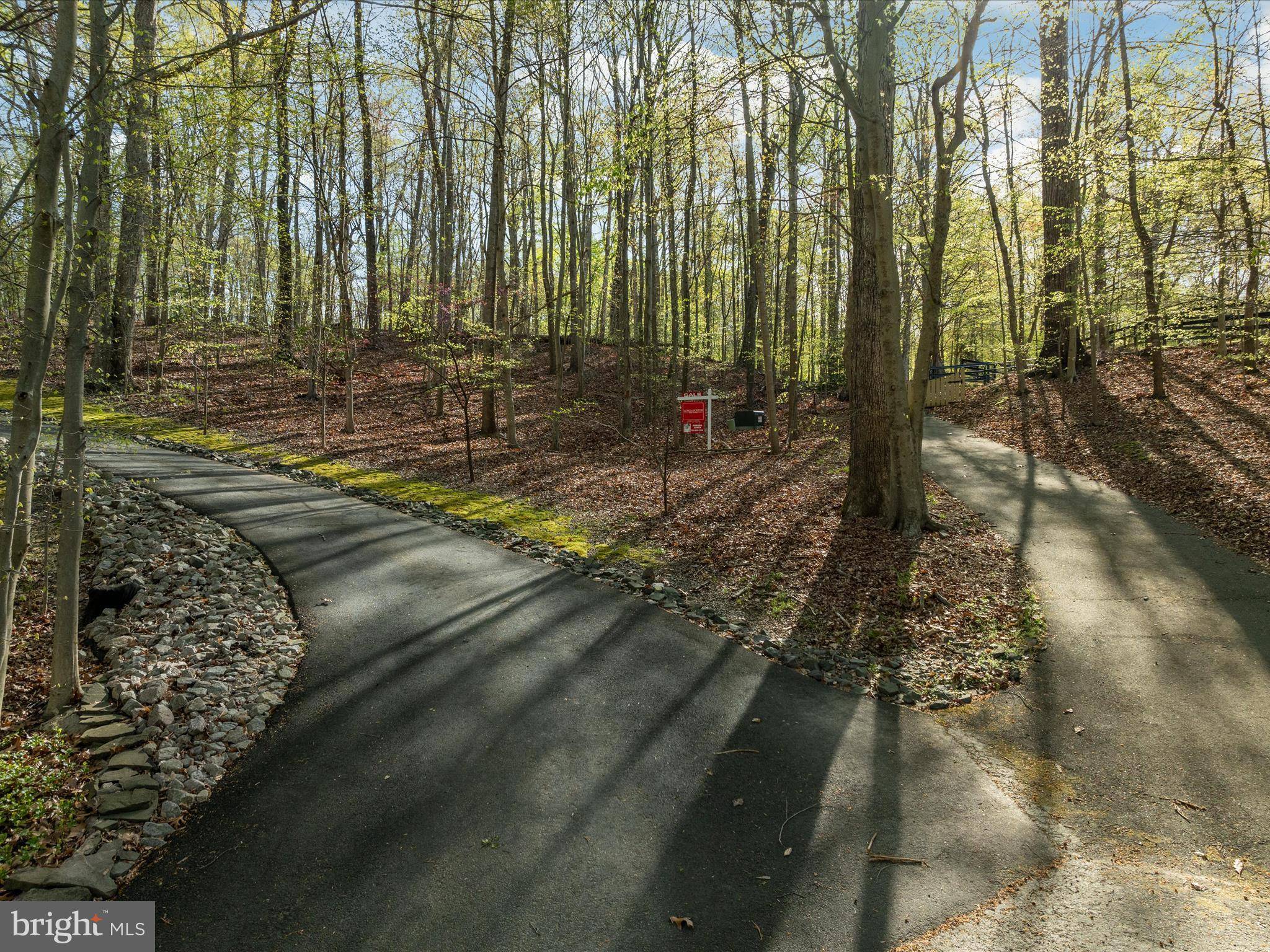 Clifton, VA 20124,12636 MILL DAM DR
