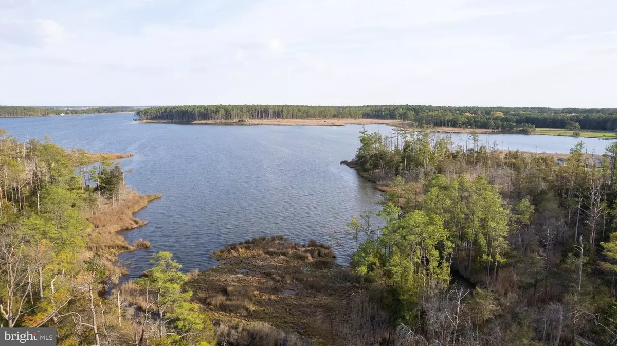 Cambridge, MD 21613,CASSONS NECK