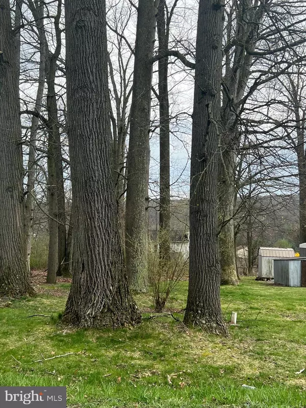 Tower City, PA 17980,0 MAPLE ST