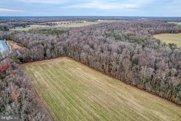 Houston, DE 19954,2.75 ACRES HUNTING QUARTER RD